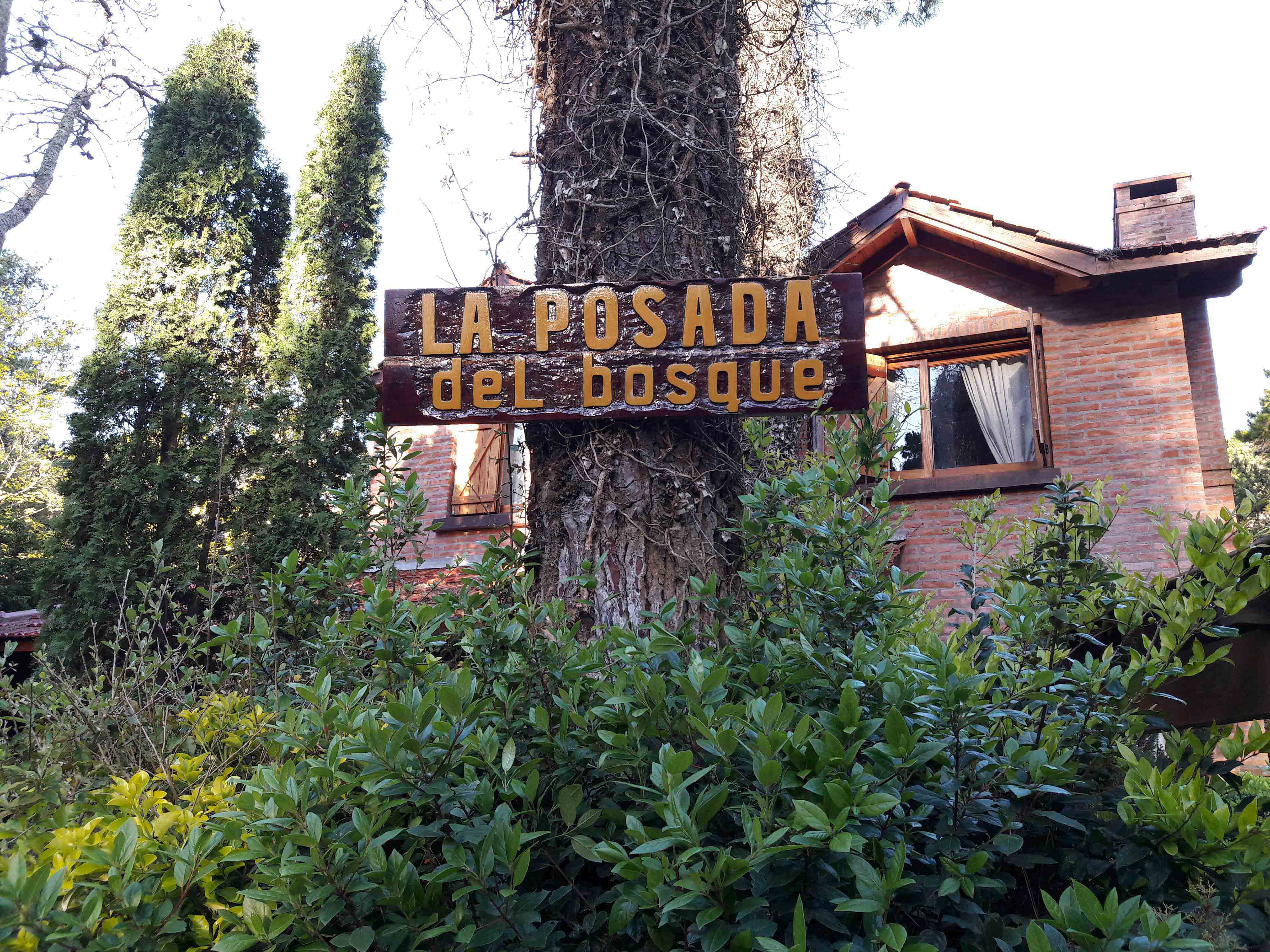 Bosques